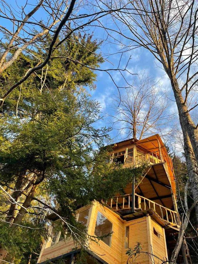 Hill Inn K'eda Dış mekan fotoğraf
